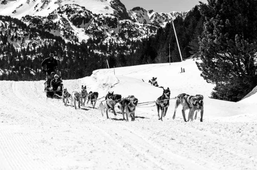 Cerdanya invierno
